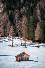 Dolomites in winter. Val Fiscalina, between peaks, larch forests, mountain pines and warm huts.