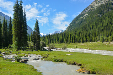 Idyllic summer landscape with hiking trail in the mountains with beautiful fresh green mountain pastures, river with reflection and forest.