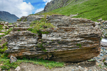 Vegetation on a large rock in the mountains. Terskey Alatoo mountains, Karakol, Kyrgyzstan