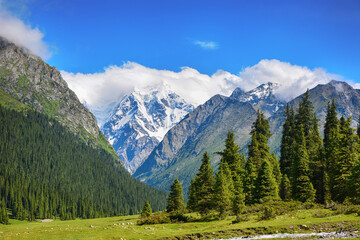 Idyllic summer landscape with hiking trail in the mountains with beautiful fresh green mountain pastures.