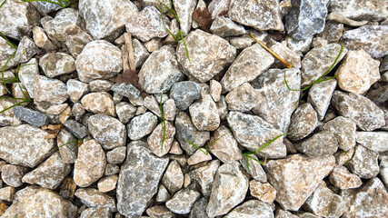 Rough gray stones scattered with green grass sprouting through, symbolizing resilience and growth amidst adversity in nature