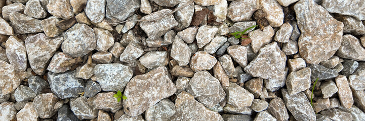 Close-up of scattered gray gravel stones with small green plants, symbolizing resilience and growth amidst challenges in landscaping