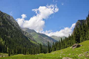 Idyllic summer landscape with hiking trail in the mountains with beautiful fresh green mountain pastures, top of mountains and clouds.