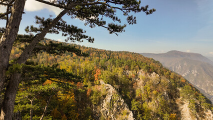 Scenic autumnal view of a mountain landscape with vibrant foliage and evergreen trees, ideal for nature and travel concepts