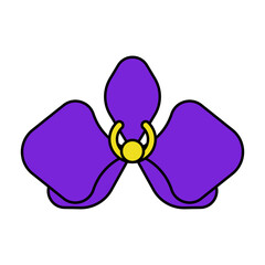 Purple Orchid Flower Illustration