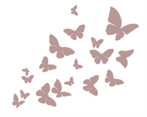 Naklejka premium pink butterfly on white background 