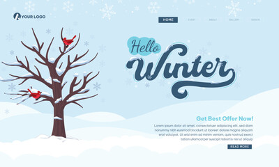 Hello Winter Web Page landing design, vector with snowflakes . Illustration welcome winter inspiration 