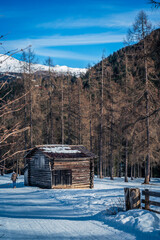 Dolomites in winter. Val Fiscalina, between peaks, larch forests, mountain pines and warm huts.