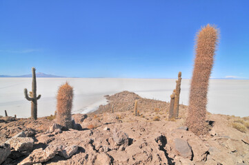 Isla Incahuasi  hilly and rocky outcrop of land  situated in the middle of Salar de Uyuni, Bolivia