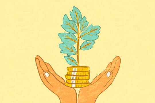 Hands holding a tree growing on coins, concept illustration