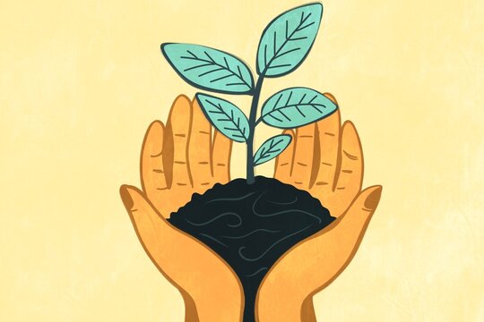 Illustration of hands nurturing a plant as a symbol of renewable energy