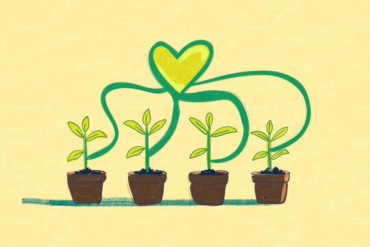 Young plants lined up with green heart-shaped loop