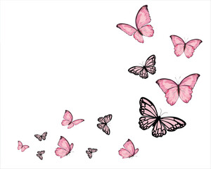 flock new butterfly pink art vector butterfly