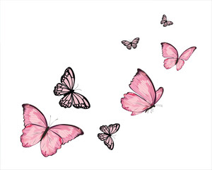 flock new butterfly pink art