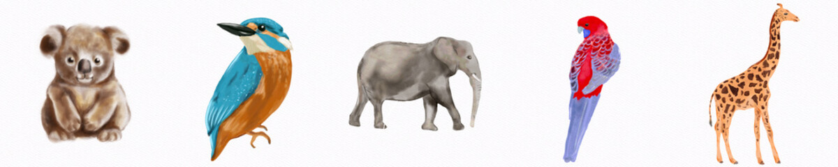 Elephant, Koala, Giraffe, and Birds standing on a white background with a focus on its large size, trunk, and tusks, illustrating a majestic mammal in its natural wildlife environment