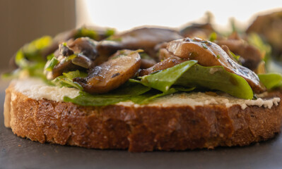  Toasted Bread with Ricotta, Arugula, and Mushrooms – Close-Up