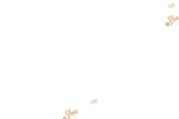 Flower border frame png, vintage ornamental design, transparent background