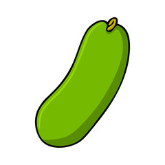 wax gourd vector illustration