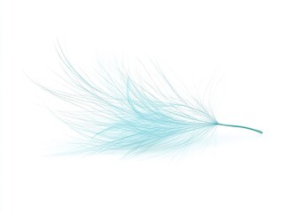 A single, delicate blue feather isolated on a white background.