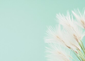 Obraz premium White pampas grass against a light blue background.