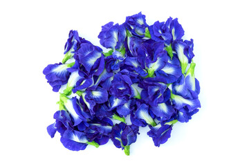 Group of Butterfly pea flowers or blue flowers or Clitoria ternatea or Aparajita flowers isolated on white background top view flat lay stacking