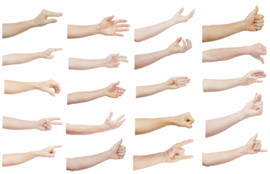 Collection of human hands in multiple gesture isolated on transparent background.