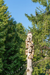 Fototapeta premium Birdhouse on a tree in city. Nature near house. Bird friendly wood park