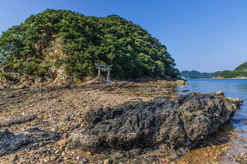 網代島