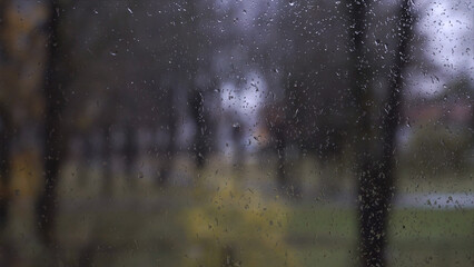 A view through a rain-streaked window. Raindrops adorn a window pane on a blurring background with the silhouette of trees in a park against an urban environment in stormy weather.