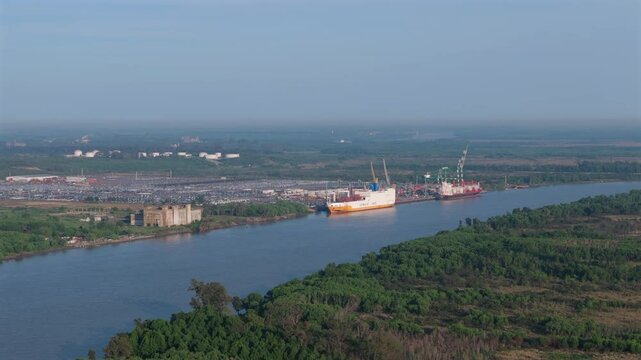 Cargo terminal of Puerto Zarate with cargo ships on Parana River. Buenos Aires, Argentina. Aerial view.