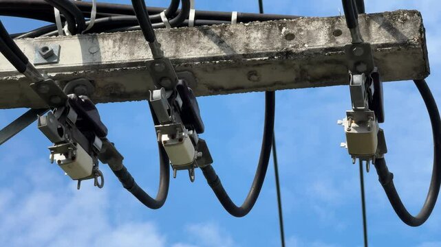 Overhead feeder power line on pole with fuse cutout switch for electrical utility distribution circuit overload and surge protection