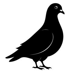 Pigeon Bird Black silhouette vector illustration isolated on a transparent background