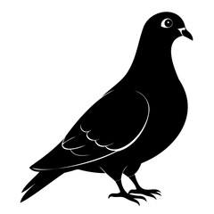 Pigeon Bird Black silhouette vector illustration isolated on a transparent background