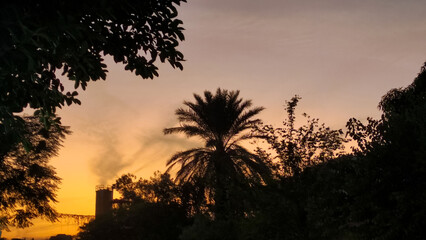 sunset in the mountains with pine trees 