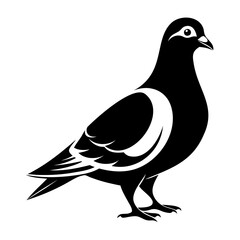 Pigeon Bird Black silhouette vector illustration isolated on a transparent background
