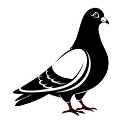 Pigeon Bird Black silhouette vector illustration isolated on a transparent background