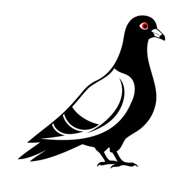 recommend clip art: Pigeon Bird Black silhouette vector illustration isolated on a transparent background