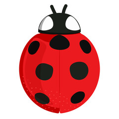 Ladybug png sticker, cute illustration, transparent background