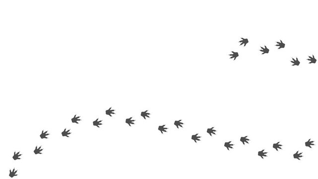 Animal paw prints. Cartoon comic funny paws along the path. Footprints walking animal on a trajectory of movement. Hamster paw prints on a white background. Text space. 4K.  Animated Video