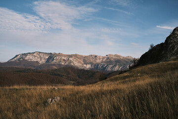 autumn landscape in the mountains