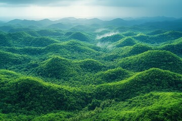 Fototapeta premium Green hilly fields, view from above. Nature, ecology, environmental protection