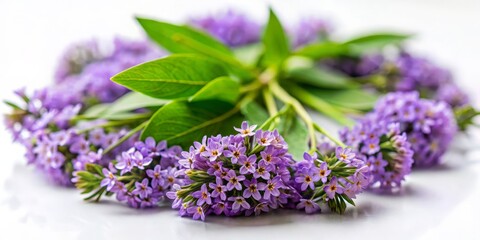 Fototapeta premium A Close-Up of a Purple Flower Bouquet with Green Leaves, flower, bouquet, purple flower, spring flower