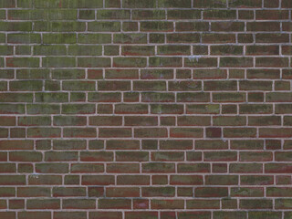 Fototapeta premium a dirty brick wall with green moos