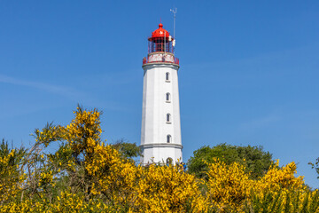 dornbusch hiddensee