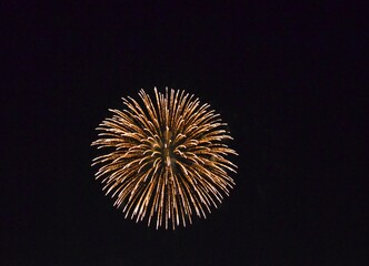 fireworks in the night sky