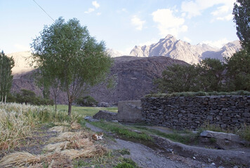 Cat in a village along the Bartang Valley in the Gorno-Badakhshan region in Tajikistan