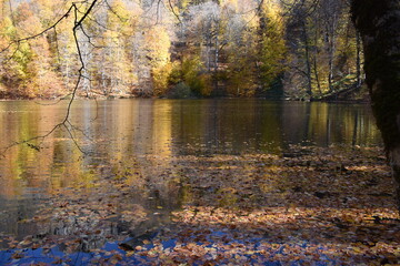 Fototapeta premium Beautiful mountain lake