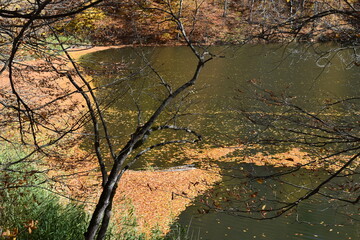 Beautiful mountain lake