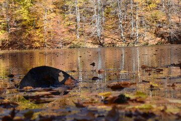 Beautiful mountain lake