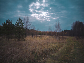 Bright Autumn landscape meadow and forest in the background against the backdrop of a beautiful blue sky and white clouds.
